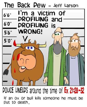 christian cartoons, cattle cartoons, cow cartoons, profiling cartoons, exodus 21:28-32