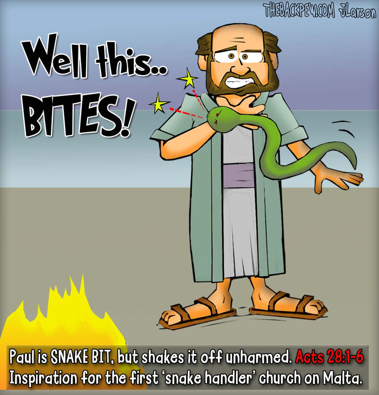 book of Acts cartoons, Apostle Paul cartoons, christian cartoons, Paul bit by snake cartoons, Acts 28:1-6