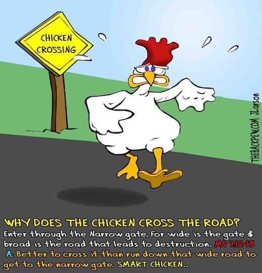 This christian cartoon features the old chicken crossing the road riddle referencing Matthew 7:13