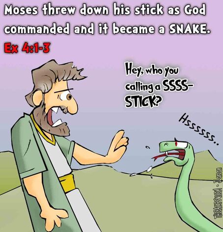 This bible cartoon features the story of Moses from Exodus 4 throwing down his stick and it became a snake