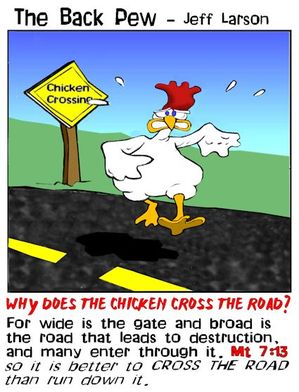 bird cartoons, christian cartoons, chicken cartoons, chicken crossing the road cartoons, matthew 7:13