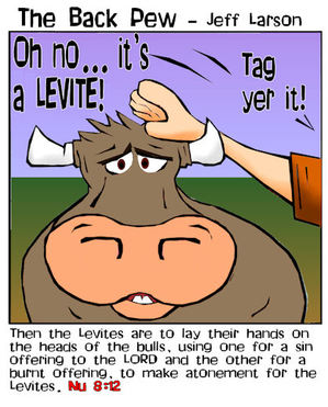 christian cartoons, cattle cartoons, cow cartoons, Numbers 8:12
