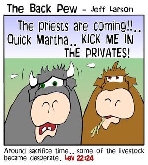 christian cartoons, cattle cartoons, cow cartoons, Leviticus 22:24
