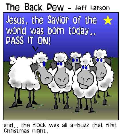 christmas cartoons, sheep cartoons
