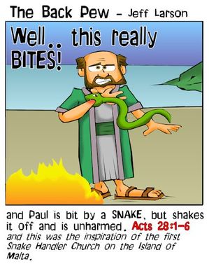 bible cartoons, snake cartoons, apostle paul bit by snake cartoons, acts 28:1-6