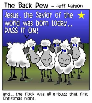sheep cartoons, bible cartoons, jesus was born cartoons