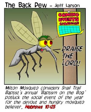mosquito cartoons, christian cartoons