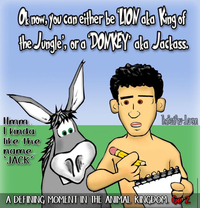 This bible cartoon features the bible story from Genesis while Adam is naming the animals and it was a defining moment for the donkey