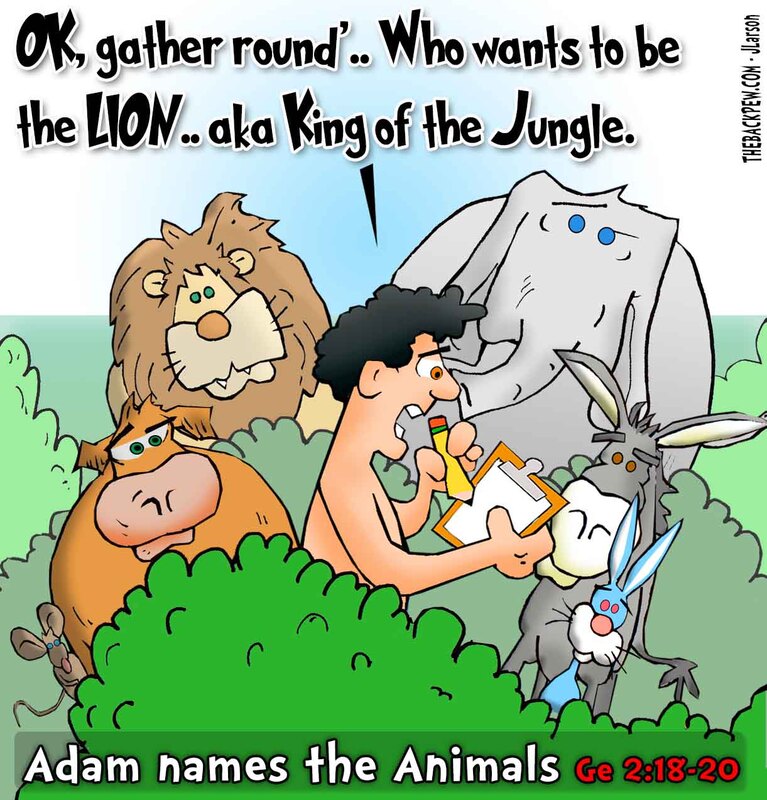 This Bible Cartoon features the Genesis 2 story when Adam named the animals.Picture