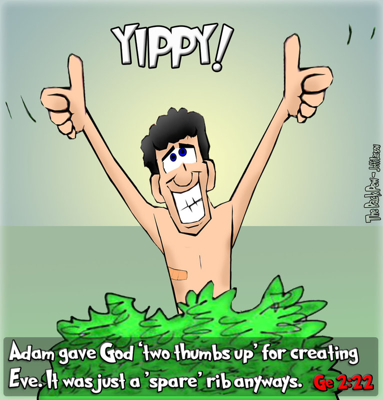 Garden of Eden cartoons where Adam approves of God creating Eve in Genesis 2:22