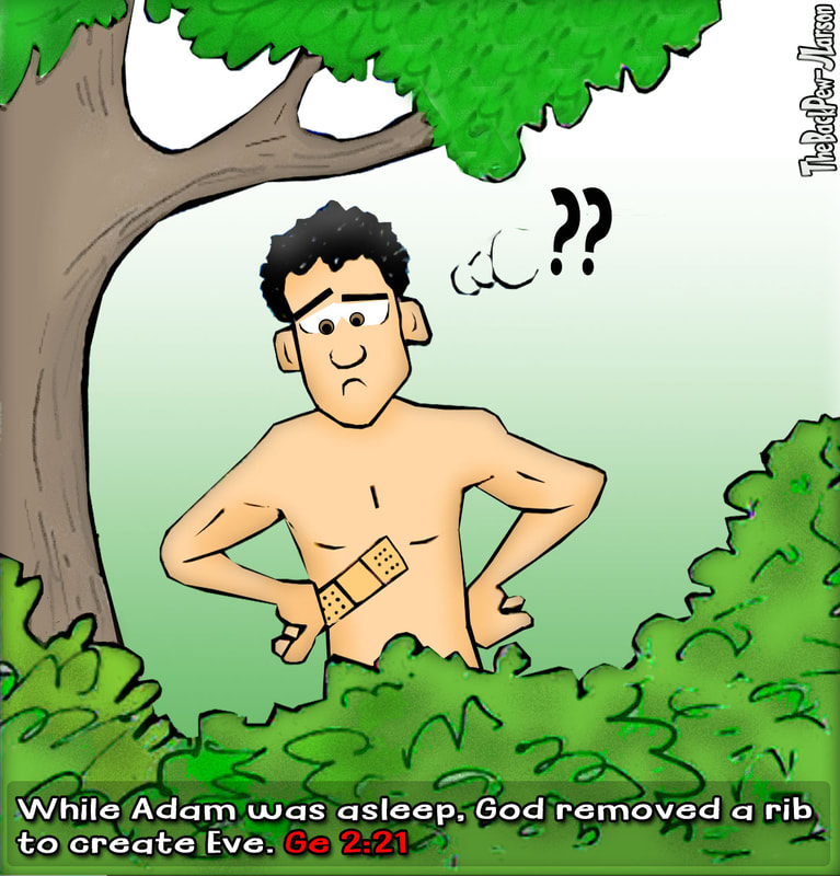 Garden of Eden cartoons where God creates woman from one of Adam's ribs in Genesis 2:21