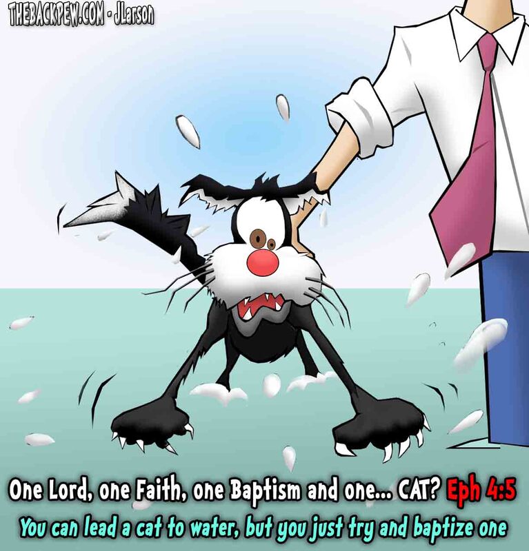 christian cartoons, cat cartoons, cat baptism cartoons