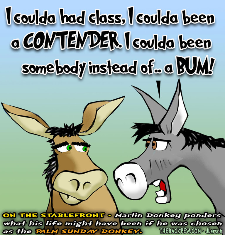 This Palm Sunday cartoon features the donkey who was not chosen for Jesus triumphant entry ride