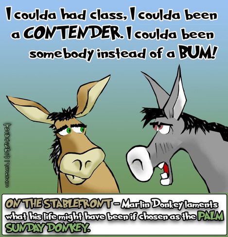 This Palm Sunday cartoon features the donkey who was not chosen for Jesus triumphant entry ride