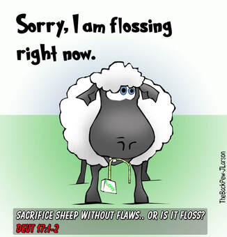 This Bible cartoon illustrates the teaching to sacrifice sheep without FLAWS.. not FLOSSPicture
