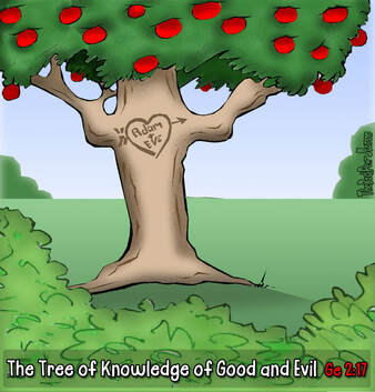 This Bible Cartoon features the Tree of Knowledge of Good and Evil in the Garden of EdenPicture