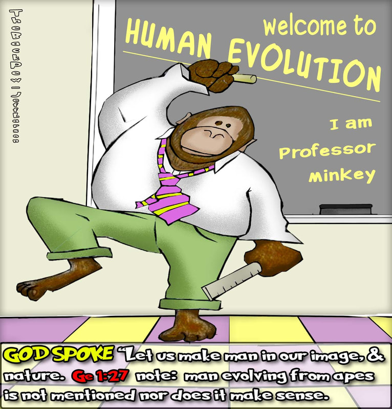 christian cartoons, evolution cartoons, Genesis 1, God created man cartoons
