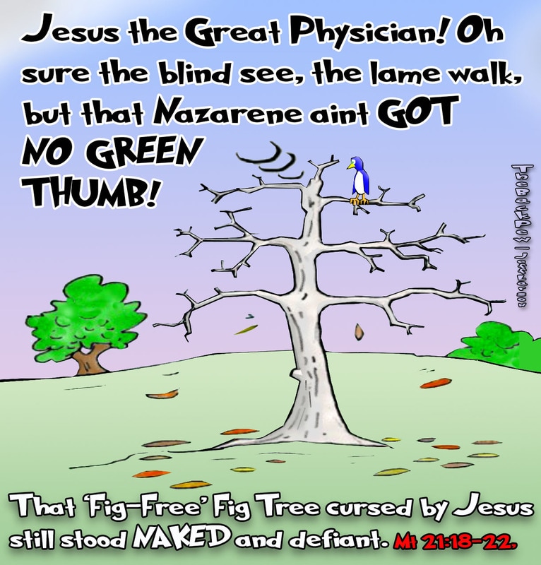 This gospel cartoon features Jesus cursing the fig tree