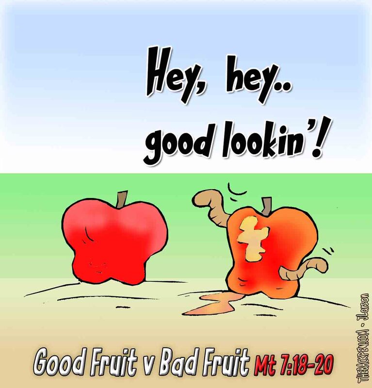 gospel cartoons, good fruit cartoons, bad fruit cartoons, Matthew 7:18-20