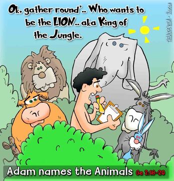 This Bible Cartoon features the Genesis 2 story when Adam named the animals.Picture