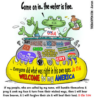 This christian cartoon features the message we are called to salt and light not a frog a boiling pot of compromise