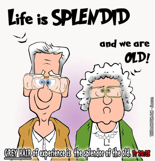 This christian cartoon features the great bible truth of Proverbs 20:29 in honor of Seniors