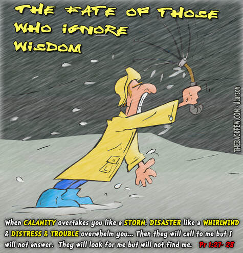 This Christian Cartoon features the Bible truth to not ignore wisdomPicture