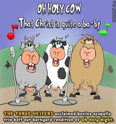 This Christmas cartoon features 3 cows singing Oh Holy Night er.. COW