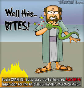 This bible cartoon features the Apostle Paul snake bit in Acts 28 on the Island of Malta