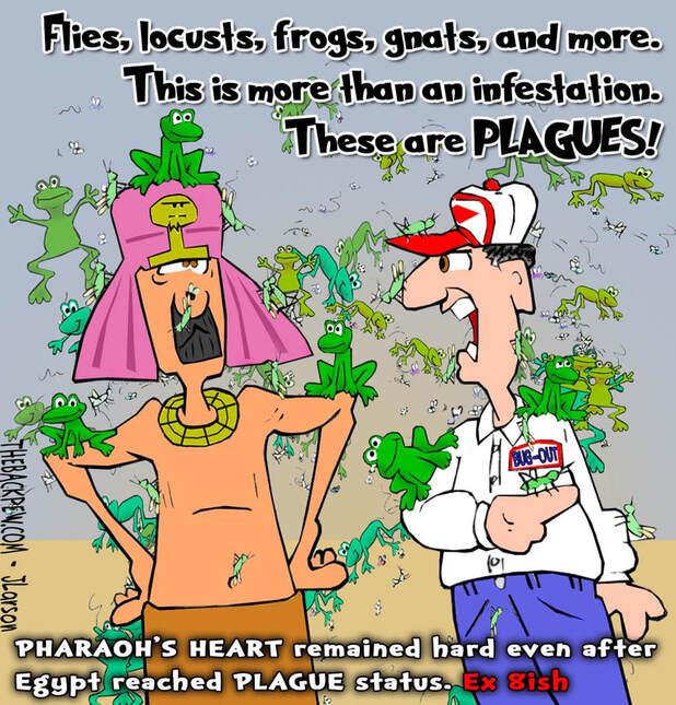 This bible cartoon features the story from Exodus 8 where Pharaoh's heart is hard despite the plagues on Egypt from God via Moses