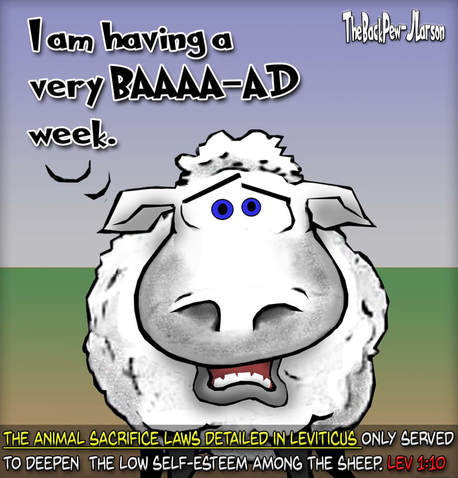 this bible cartoon features the fragile self-esteem of sheep during the time of Leviticus