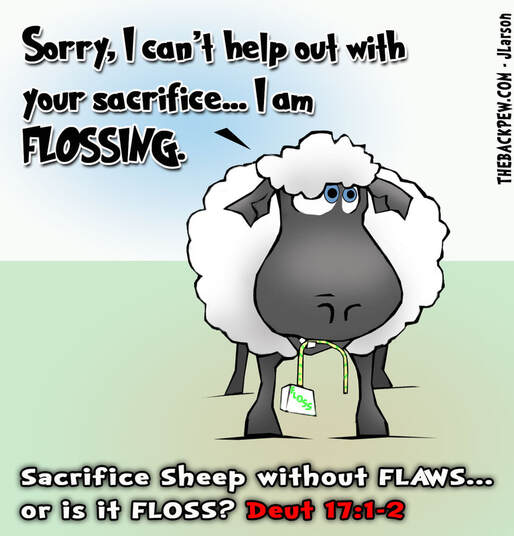 This Bible cartoon illustrates the teaching to sacrifice sheep without FLAWS.. not FLOSSPicture