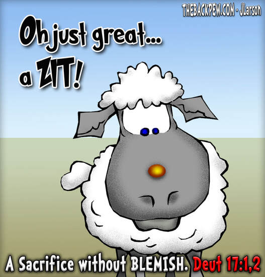 This Bible cartoon features bad news (a zit) is good news (he will not be a sacrifice) for Marty the sheep