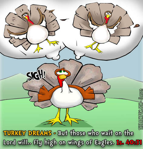 This Thanksgiving cartoon features a turkey dreaming of eagle wings