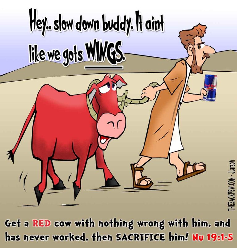 Numbers, cartoons, bible, Old Testament, Red cow, Numbers 19:1-5