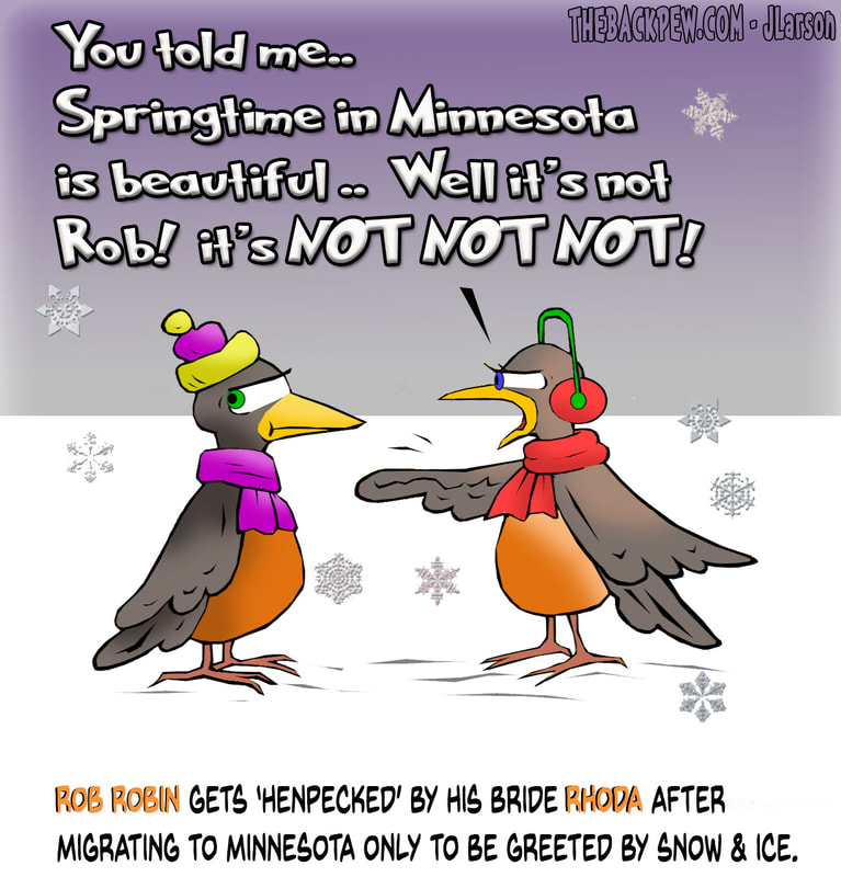 This christian cartoon features robins arriving early to Minnesota only to be greeted by snow