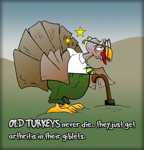 This Thanksgiving cartoon features an old turkey
